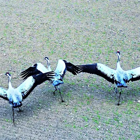 Marina Nautica - Nowy, Parking Podziemny, Winda, Netflix I Max, Tv55