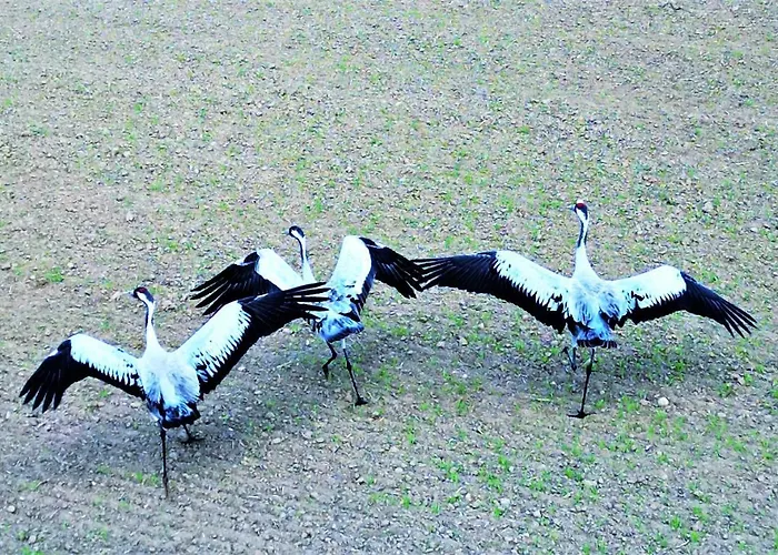 Marina Nautica - Nowy, Parking Podziemny, Winda, Netflix I Max, Tv55